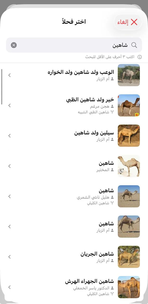 Camel selection screen